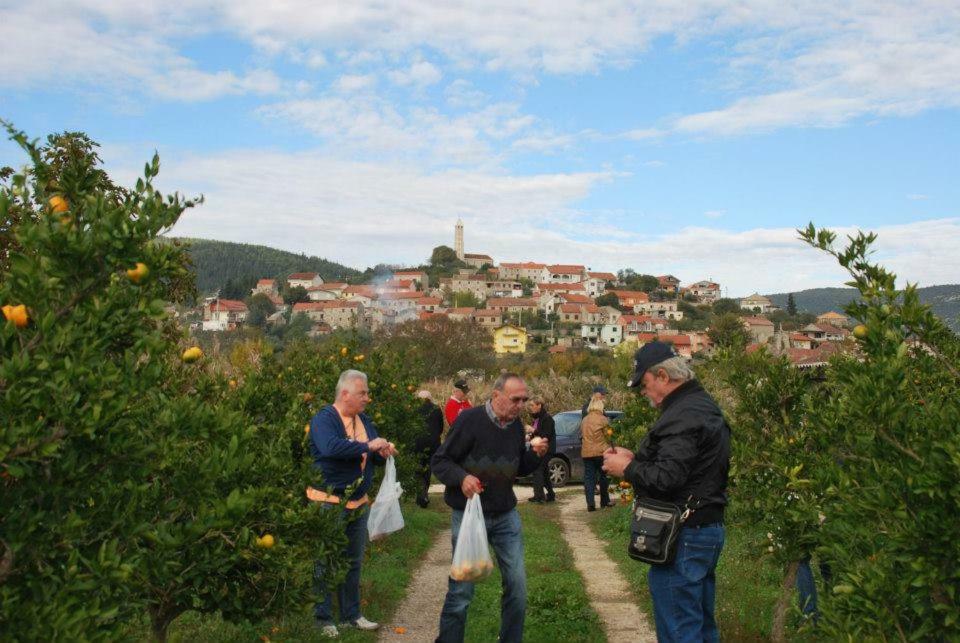 Villa Danica Vid Exteriér fotografie